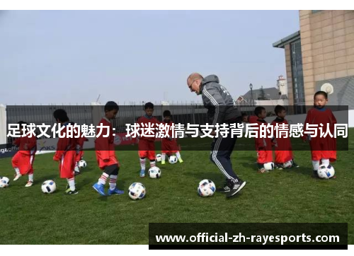 足球文化的魅力：球迷激情与支持背后的情感与认同
