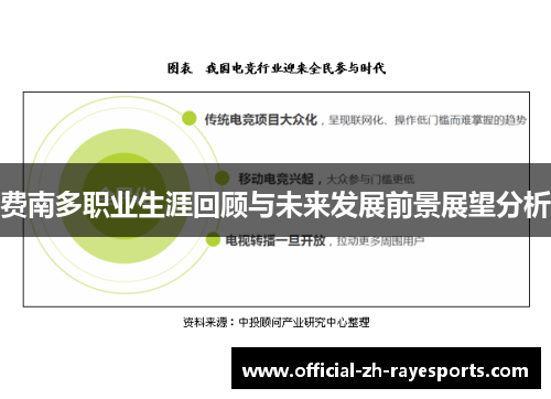 费南多职业生涯回顾与未来发展前景展望分析