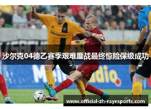 沙尔克04德乙赛季艰难鏖战最终惊险保级成功